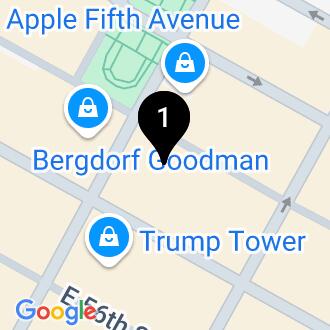 745 Fifth Avenue, 10th Floor
New York, NY  10151