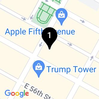 745 Fifth Avenue
New York, New York 10151